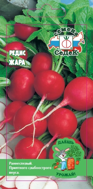 1ч ДУ редис Заря (Евро, 3)