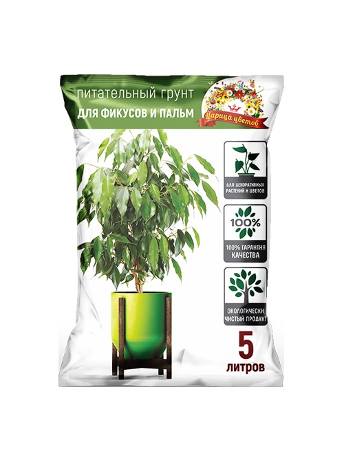 tsaritsa-ficus-5l