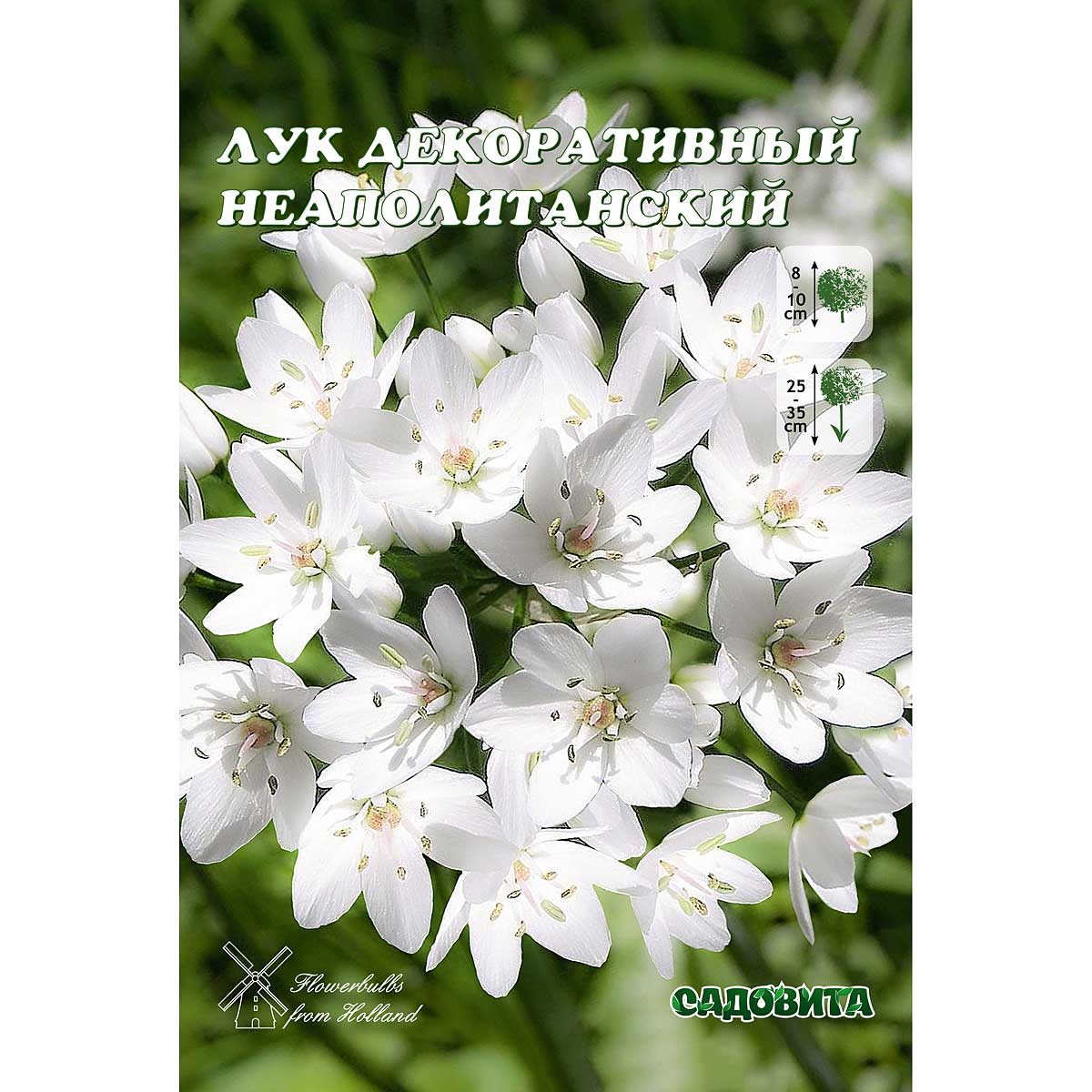 3o1cxyzdub8goxi7e6k60v8olbynqsri