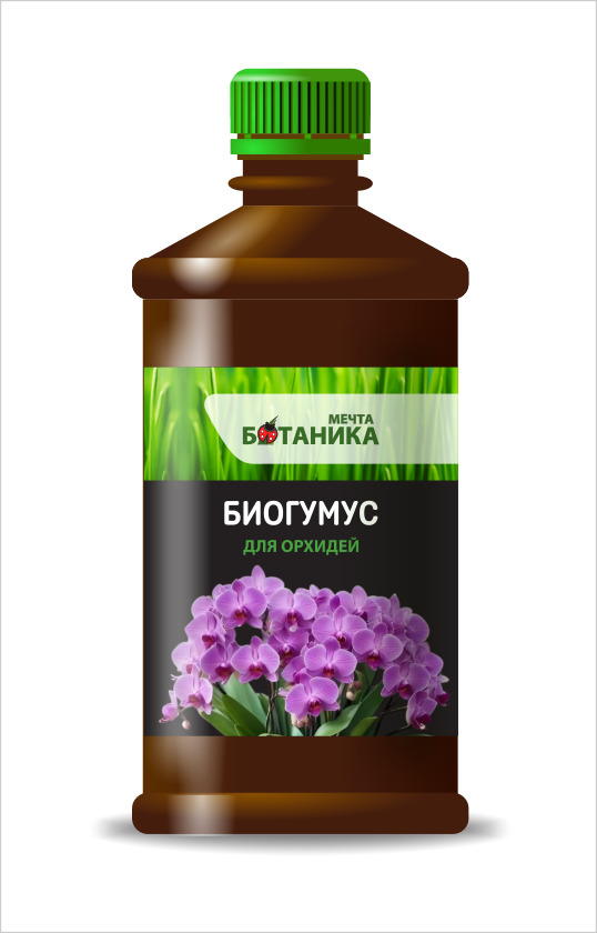 МБ_био_орхидеи