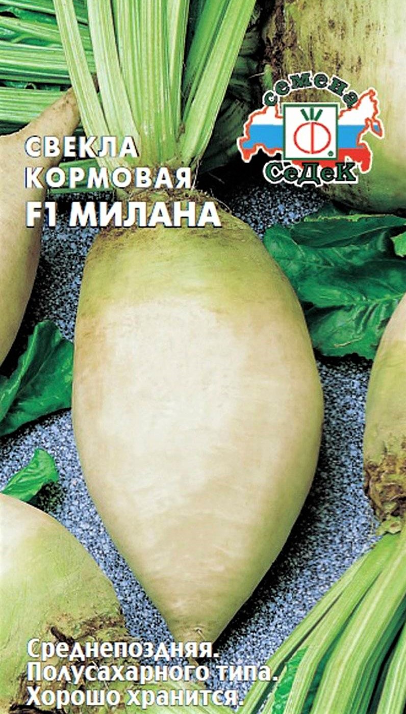 Седек свекла Милана F1 (полусладкая,одноростк)( кормовая) (Евро, 1)