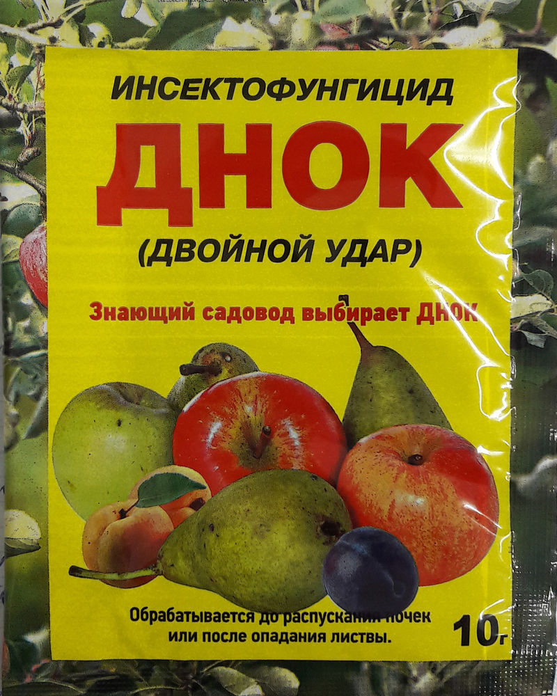 днок