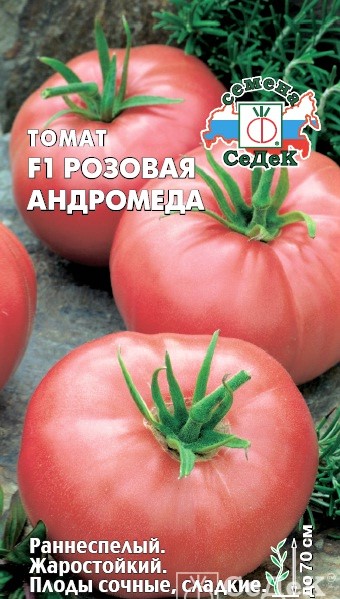 Седек Томат Розовая Андромеда