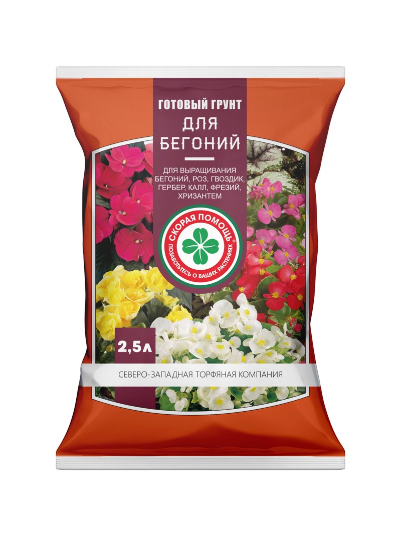 skoraya-begonia-25l