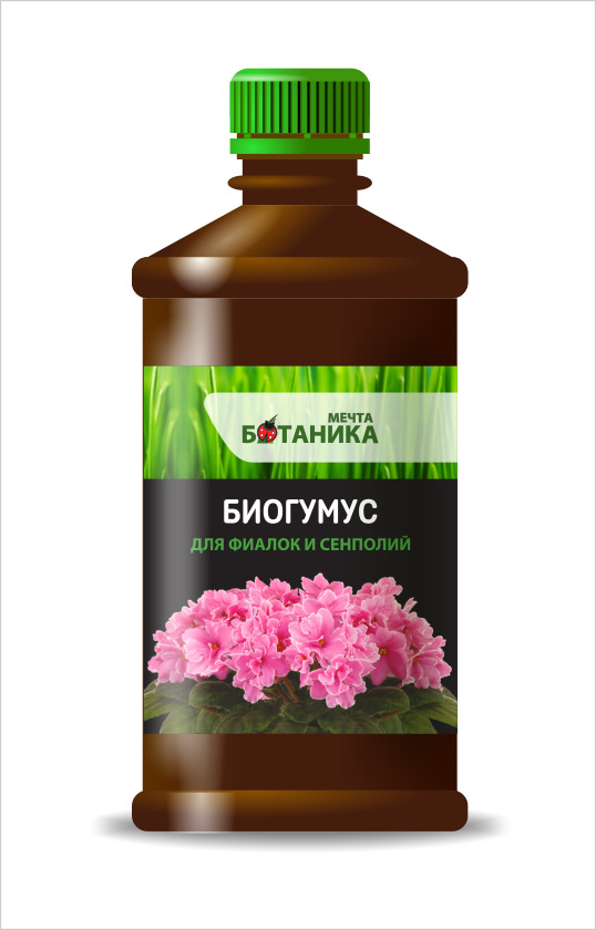 МБ_био_фиалки