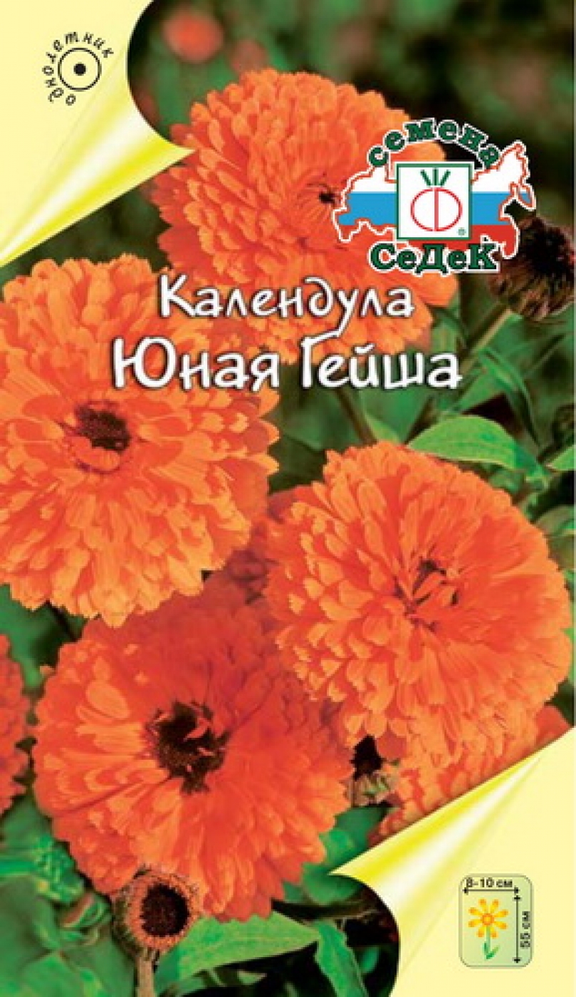 1к Седек Календула Юная Гейша (красно-оранжевая) (Евро, 0,5)