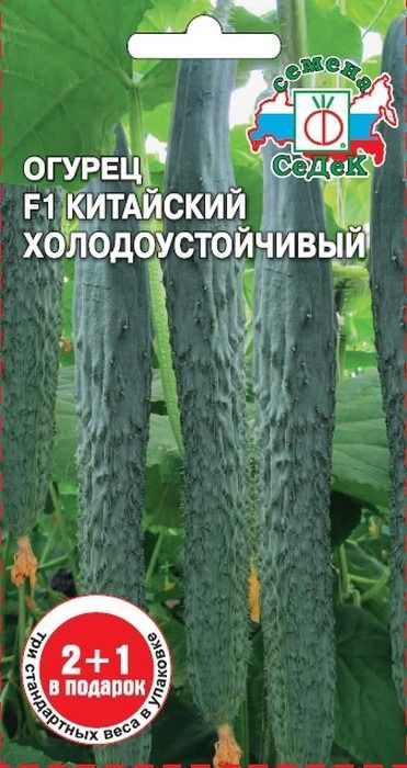 1я Седек огурец Китайский Холодоустойчивый F1 (Евро, 0,2)