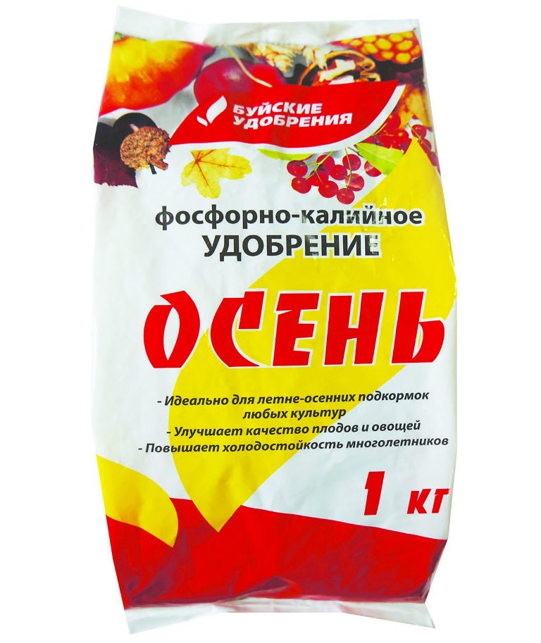 у осень бхз