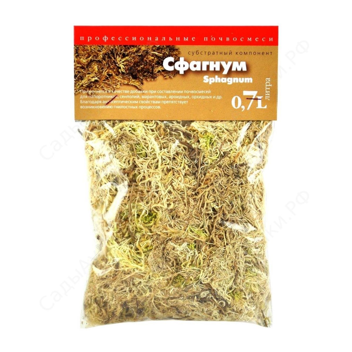 НФ-00004504