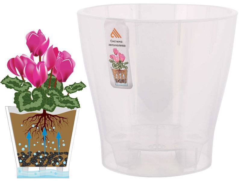 shop_items_catalog_image149738