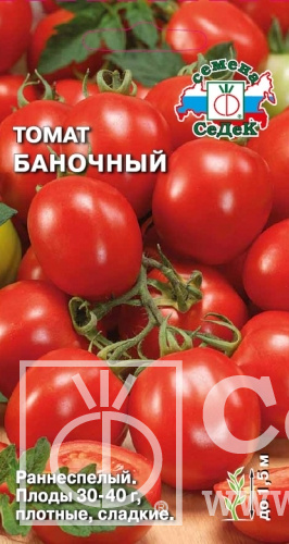 x6n2y4tly2kbsa676cgpkopqjfukig2l