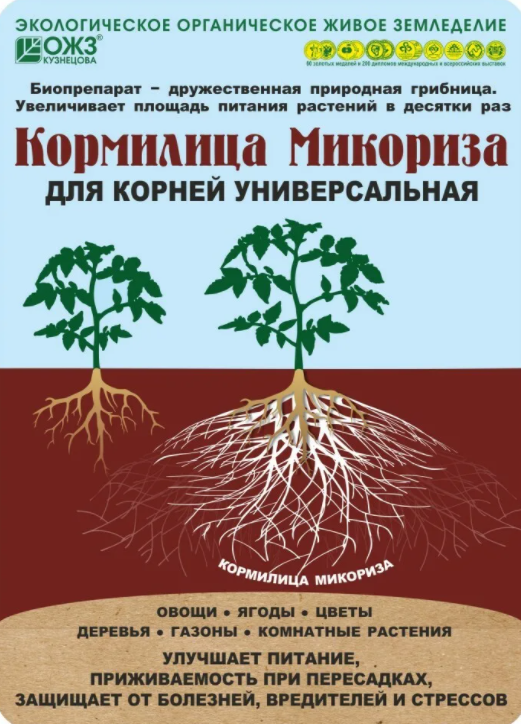 ч микориза корни