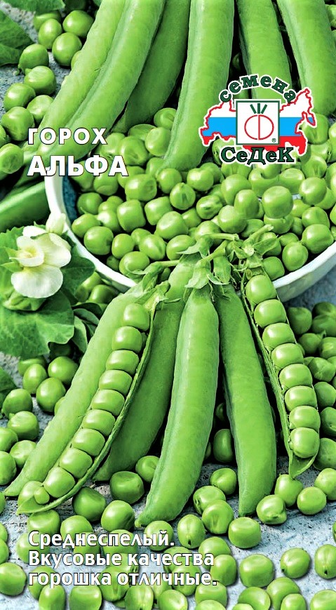 Седек Горох Альфа (Евро, 8)