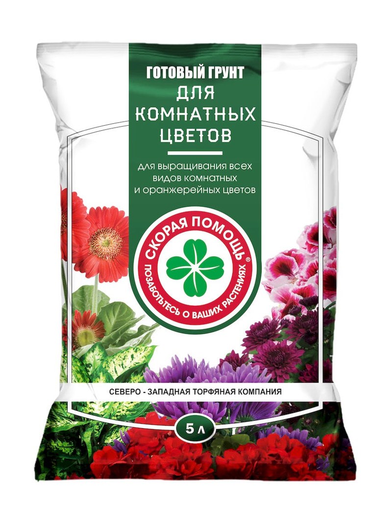 skoraya-indoor-5l