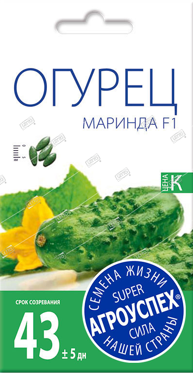 Логурец Маринда F1 ранний 8 шт (Голландия)