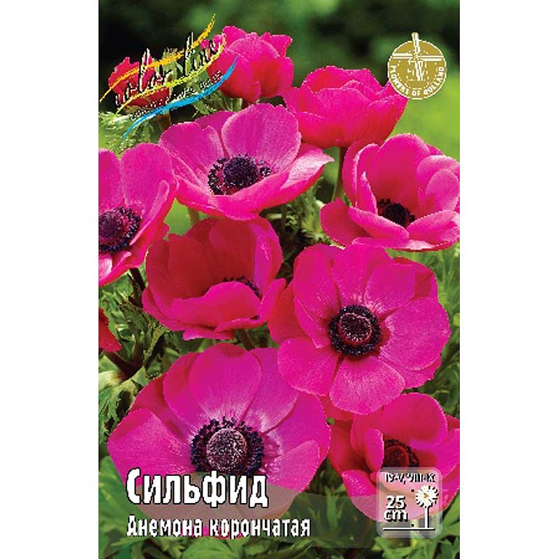Сильфид