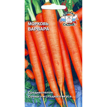 Седек морковь Варвара® (Евро, 2)