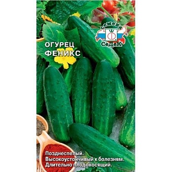 Седек огурец Феникс (Евро, 0,5)