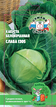 Седек капуста Слава 1305 (Б/К) (Евро, 0,5)