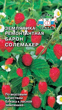 Седек Земляника Барон Солемахер (Евро, 0,04)