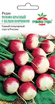 Седек редис Розово-красный с б/к (Евро, 3)