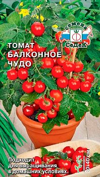 Седек томат Балконное Чудо з/г (Евро, 0,1)