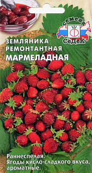 Седек земляника Мармеладная ( мелкоплодная ремонтант.) (Евро, 0,04)