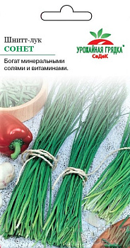 Седек лук Сонет (шнитт) (Евро, 0,5)