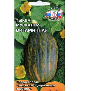 Седек тыква Витаминная (мускатная) (Евро, 2)