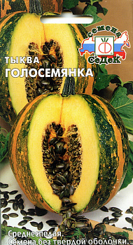 Седек тыква Голосемянка (Евро, 1)