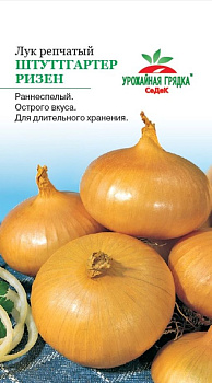 Седек лук Штуттгартер Ризен (репч.) (Евро, 1)