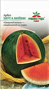 Седек арбуз Шуга Бейби (Евро, 1)