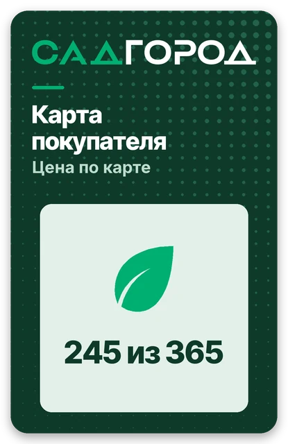 Карта покупателя — цена по карте, 245 из 365 листиков